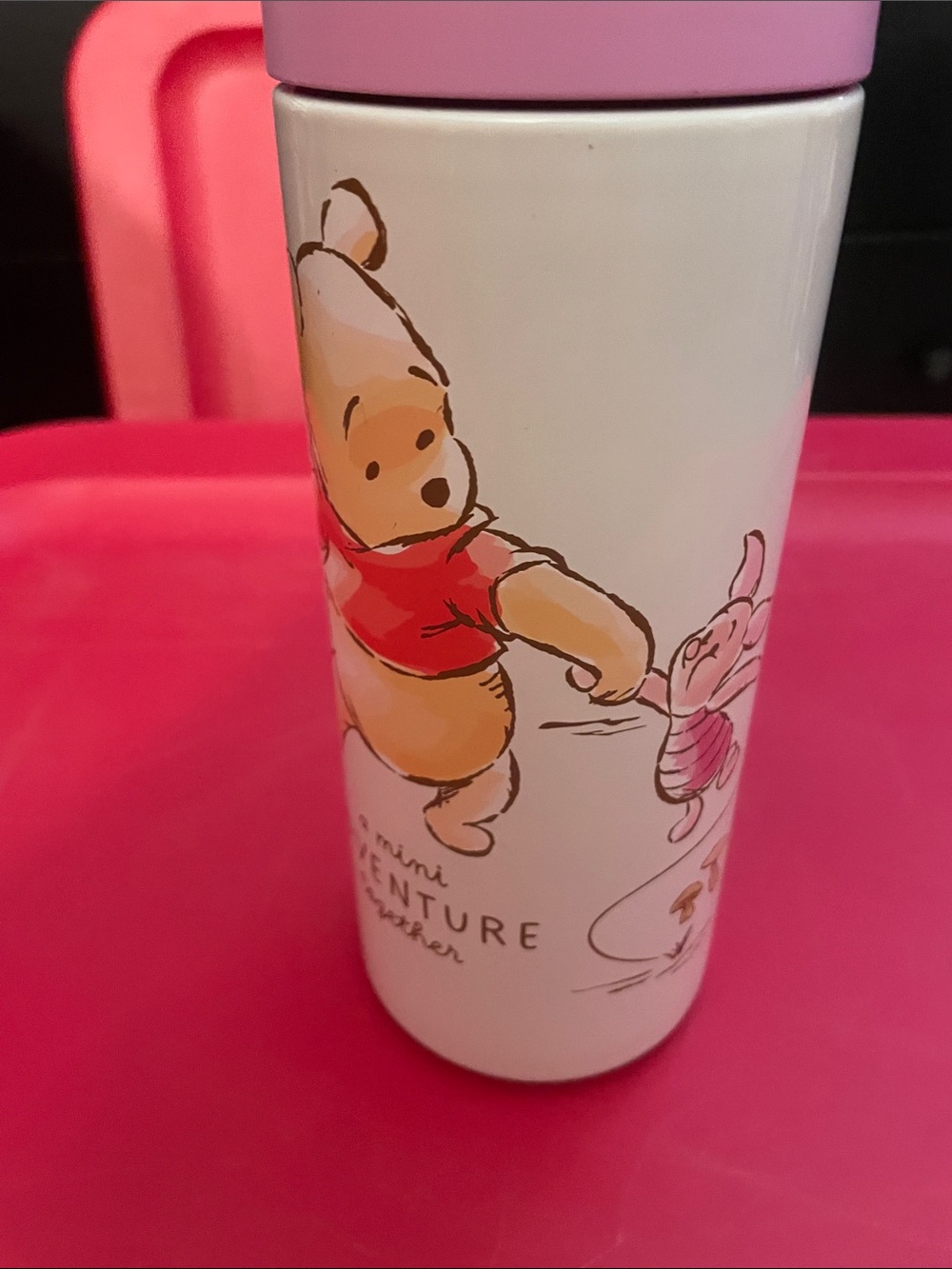 Disney Winnie the Pooh Pink, Red & White Character Travel Print